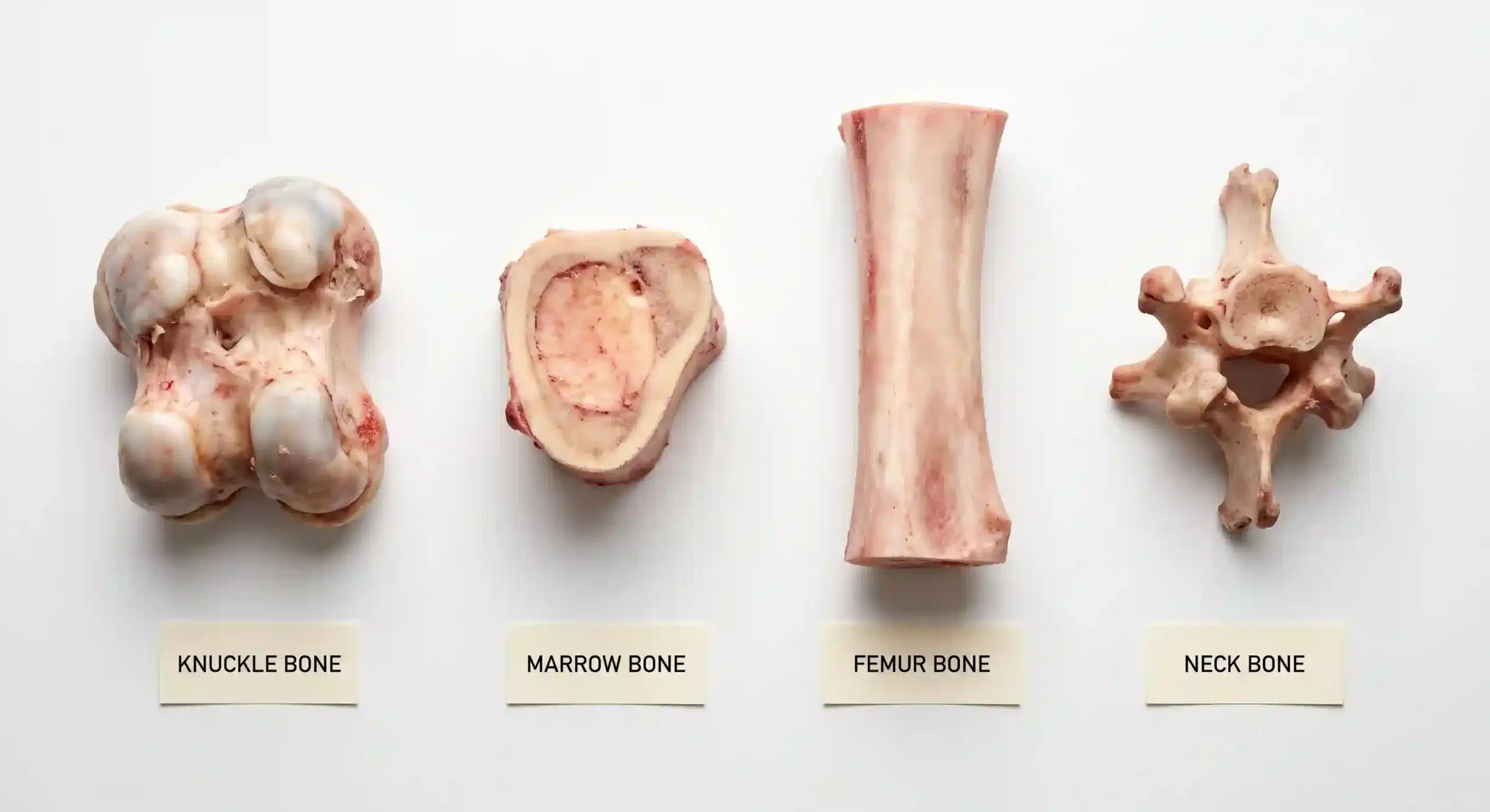 Four types of beef bones arranged for broth making - knuckle, marrow, femur, neck