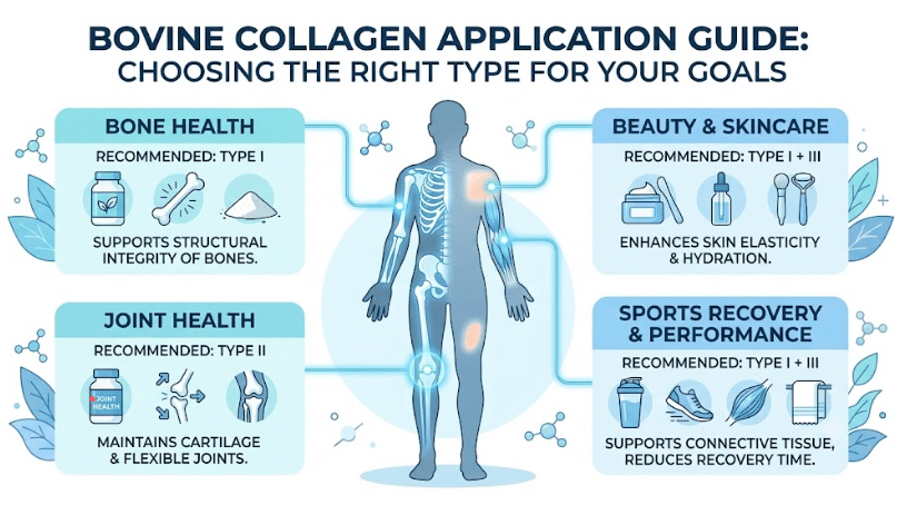 Application guide for bovine collagen types: Type I for bone health, Type I+III for skin, Type II for joint health