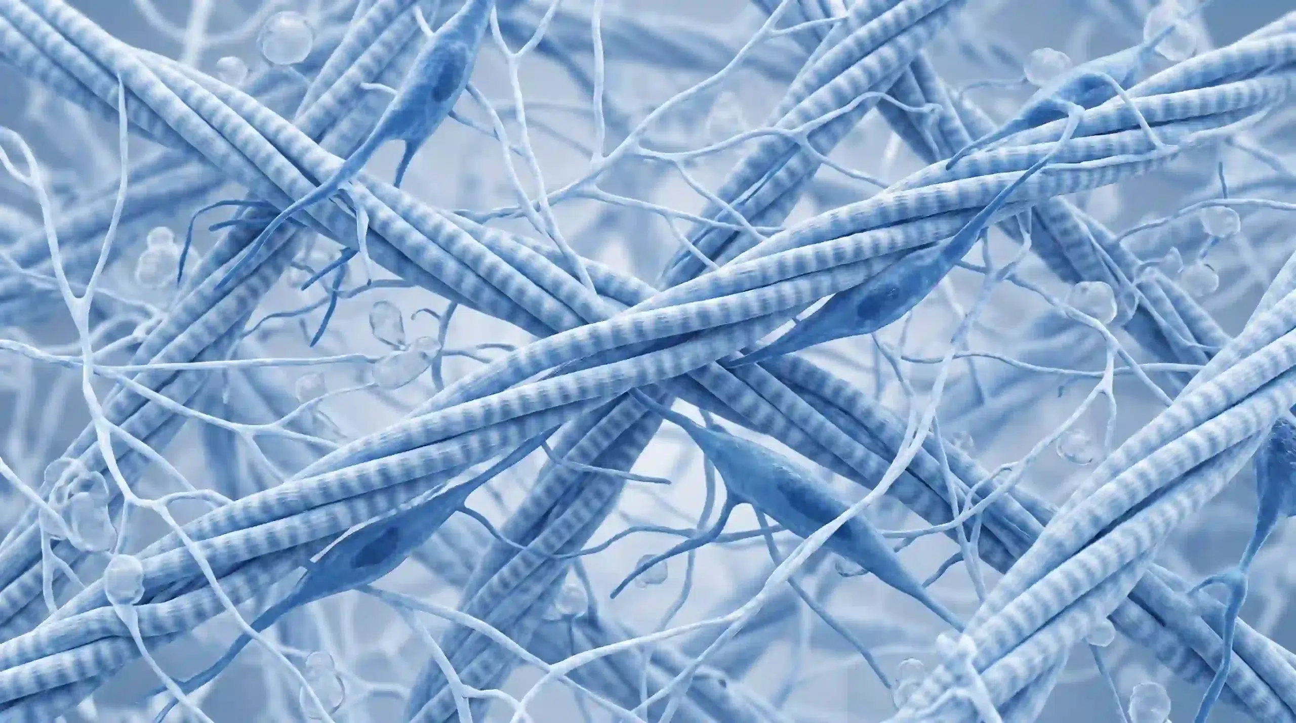3D scientific rendering of the interwoven network of collagen types in eggshell membrane including types I, V, and X.