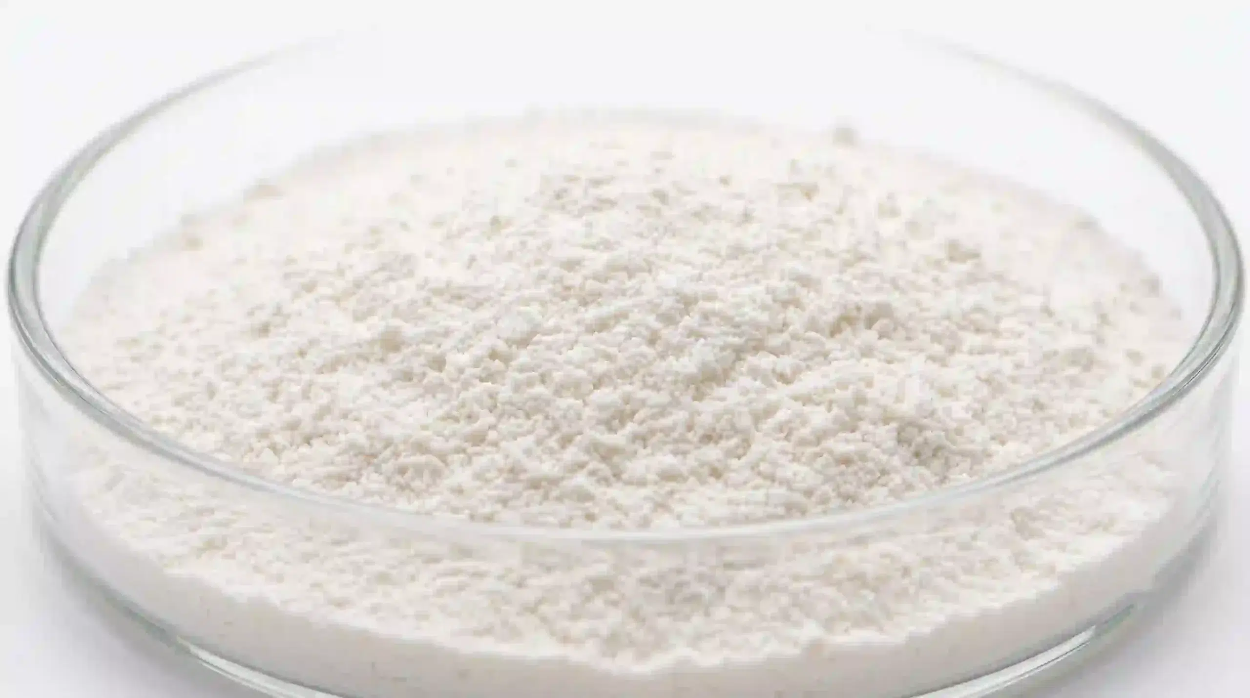 Fine white fermented eggshell membrane collagen powder in a glass dish, showcasing ultra-fine particle size for instant solubility.