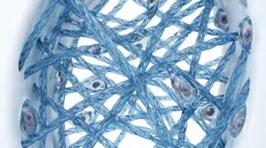 3D medical illustration of undatured type II collagen network inside healthy knee cartilage