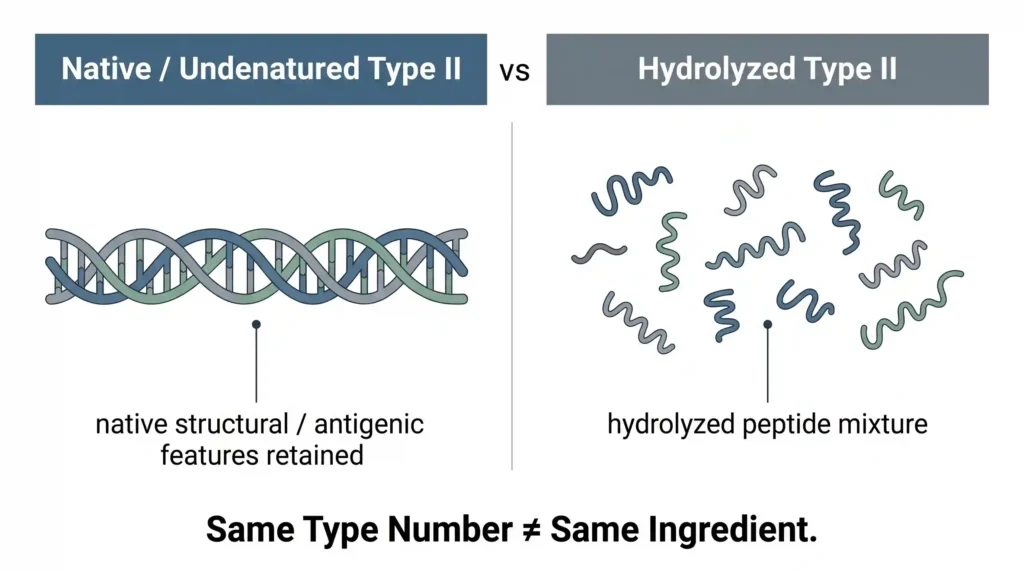 Structural comparison of native undenatured Type II collagen and hydrolyzed Type II collagen peptides